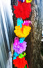 Fiesta Garland