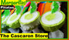 Margarita Mini Pinatas Fiesta Decoration Margarita Mini Pinatas Fiesta Decoration - Fiesta Arts DesignsMini Pinata