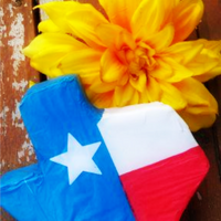 Texas Mini Pinata decoration