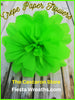 Large Fiesta Flower lime green 