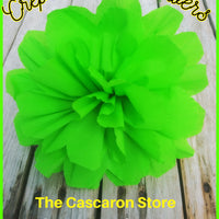 Large Fiesta Flower lime green 